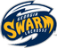 Georgia Swarm